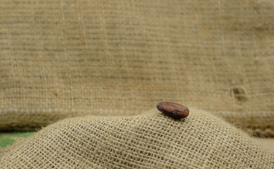 Single whole cocoa bean on the food-grade jute sack. The price and cost. Transportation of cocoa beans. Copy space. Shallow depth of field.