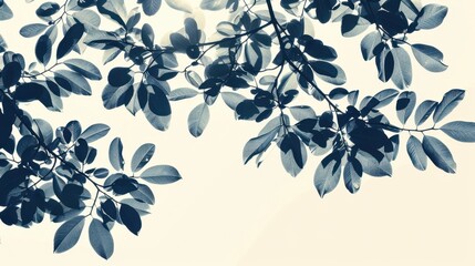 Silhouetted Leaves Against Bright Background