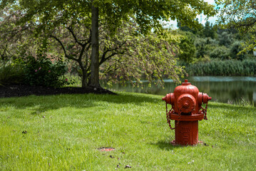 Bright Red Hydrant in Green Field
