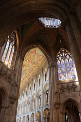 Ely, cathedral, plaster, ceiling, cambridgeshire