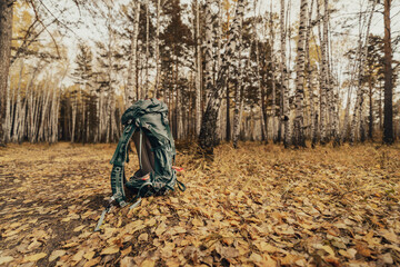 Hiking backpack in autumn forest 