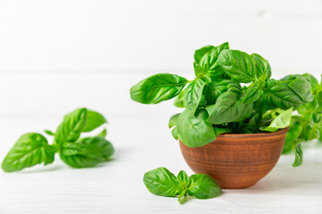 Green basil leaves on a textured wooden background. Kitchen herbs, spices. Fresh green organic basil. Vegan. Greens for salad. Place for text. Copy space.