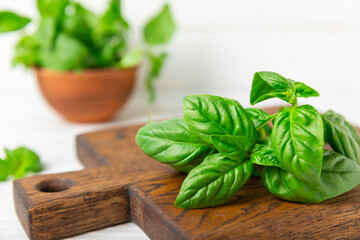 Green basil leaves on a textured wooden background. Kitchen herbs, spices. Fresh green organic basil. Vegan. Greens for salad. Place for text. Copy space.