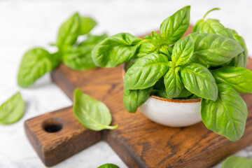 Green basil leaves on a textured wooden background. Kitchen herbs, spices. Fresh green organic basil. Vegan. Greens for salad. Place for text. Copy space.