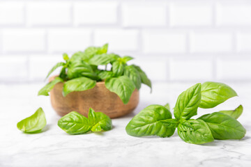Green basil leaves on a textured wooden background. Kitchen herbs, spices. Fresh green organic basil. Vegan. Greens for salad. Place for text. Copy space.