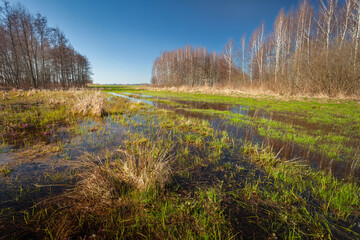A view of a flooded meadow on a clear day, eastern Poland