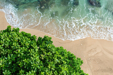 Lush greenery meets tranquil seashore, where gentle waves kiss sandy beach.
