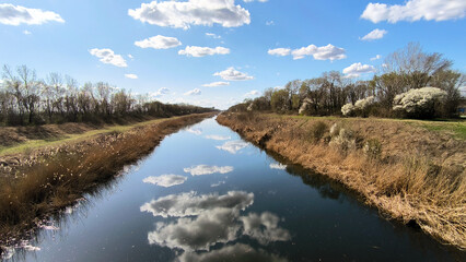 landscape by the river in the spring