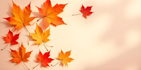 Obraz premium Dried maple leaves on pastel sunlit background with shadow. Autumn, fall, thanksgiving day concept. Flat lay, top view