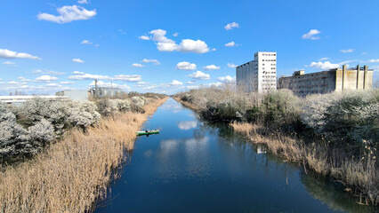Fototapeta premium landscape by the river in the spring