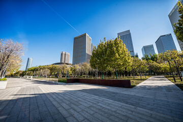 Modern Urban Park with Skyscrapers