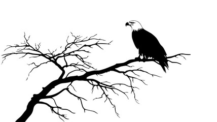 Obraz premium An eagle sits on a high tree branch, looking downward, scanning for movement, vector illustration art