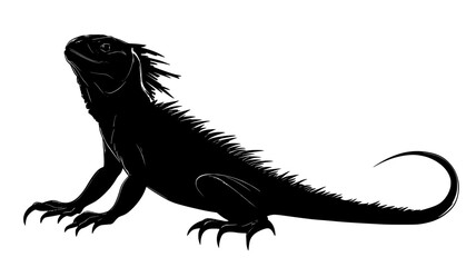 Fototapeta premium Frilled lizard with neck frill extended in a threat display, vector illustration art