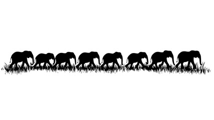 Herd of elephants walking in a line across wide field, vector illustration art