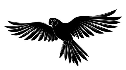 Obraz premium Parrot in flight with wings extended showing undersides, vector illustration art