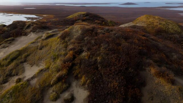 Detail Of Pingo Formation In Tuktoyaktuk, Northwest Territories, Canada - Drone Shot