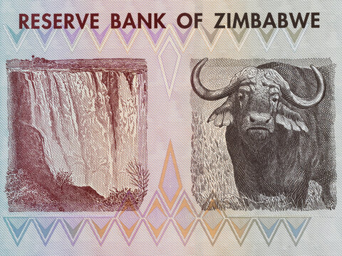 Portrait of a Victoria Falls (Mosi-oa-Tunya) and Water Buffalo Zimbabwe One Dollar Bill Closeup