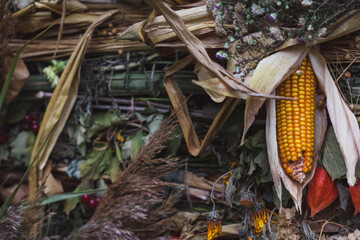 Autumn background from the gifts of nature. Harvest background, Thanksgiving day