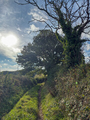 Fototapeta premium Rural Cornish Footpath.