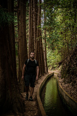 Tranquil Walk Along Madeira's Forest Canal
