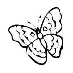 Bold Abstract Butterfly Design