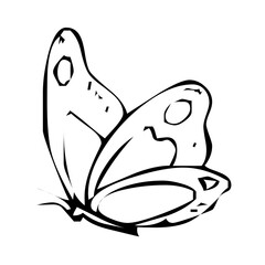 Bold Abstract Butterfly Design