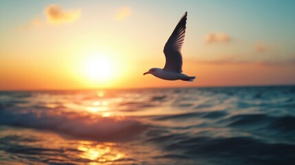 Seagull Flying Over Ocean Sunset