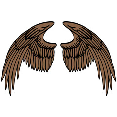 Eagle Bird Wings Illustration Vector
