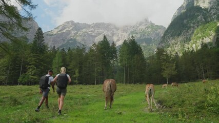 Couple hikes through Robanov Kot valley in Slovenia, passing Haflinger horses in mountain scenery