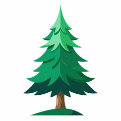 Obraz premium vector illustration of spruce