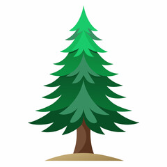 Obraz premium vector illustration of spruce
