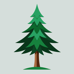 Fototapeta premium vector illustration of spruce