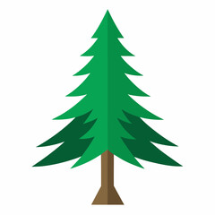 Fototapeta premium vector illustration of spruce
