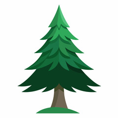 Obraz premium vector illustration of spruce