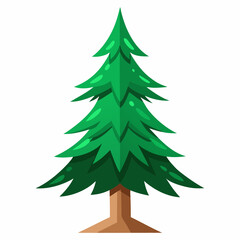 Obraz premium vector illustration of spruce
