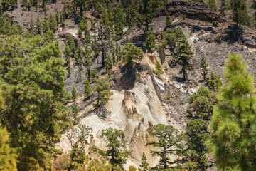 A natural wonder at Paisaje Lunar, Tenerife, where slender, light-colored hoodoos emerge from darker soil