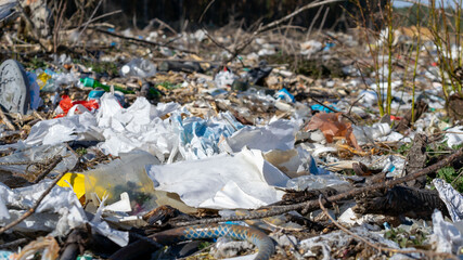 wild garbage dump. residual glass, plastics in the forest