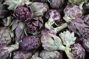 Close up of artichokes for sale in farmers market, supermarket or grocery store. Cynara cardunculus var. scolymus.