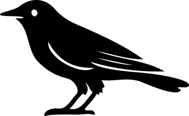 Obraz premium Shadow silhouette of a crow, eerie halloween bird with dark and spooky presence 