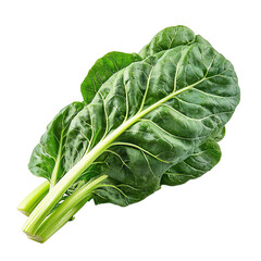 swiss Chard, side view, on isolated transparent background
