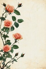 Beautiful peach roses with green leaves on a textured background.