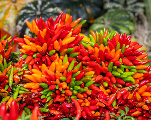 Concept of fresh organic food market. Chilli for sale in market. Bunch of colorful chili peppers at the Rialto Bridge market in Venice. Sheaf of colorful chilli peppers. 
