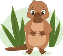 Vector children's cute cartoon style illustration of the Australian platypus for children's products