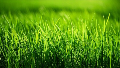 Obraz premium Close-up photo of green glass