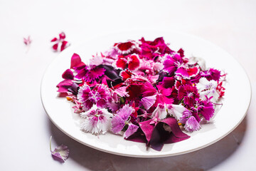 Edible pink culinary flowers on plate, on pink marble background.