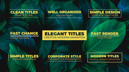 Elegant Minimal Titles