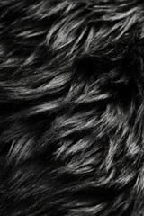 Naklejka premium Black Fur Texture, Soft and Fluffy Background. Abstract Pattern, Luxury and Elegance Concept.