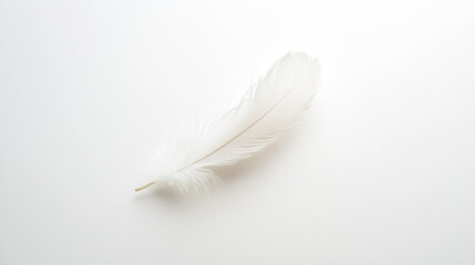 Obraz premium Single white feather lying on a white background