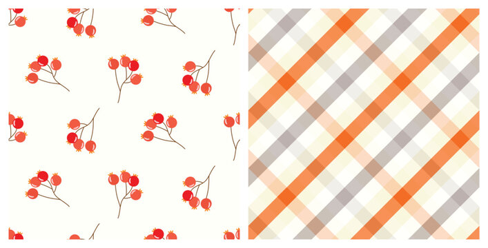 Fototapeta Seamless pattern set of doodle of Autumn berries and plaid texture. Hand drawn background for Autumn harvest holiday, Thanksgiving, Halloween, seasonal, textile, scrapbooking.