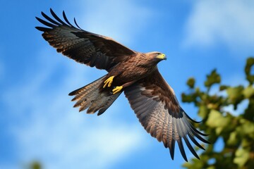 Obraz premium A majestic eagle soaring gracefully through the clear blue sky, capturing the essence of freedom and strength, with its wings fully extended against the vibrant backdrop, symbolizing nature's beauty